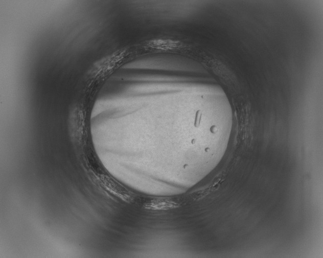 X0000076320752200610201638