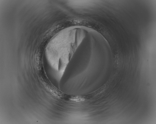 X0000076320754200610201638