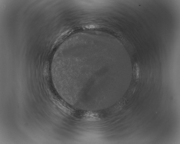 X0000076320760200610201638