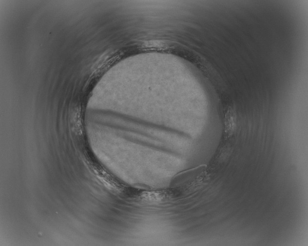 X0000076320764200610201638