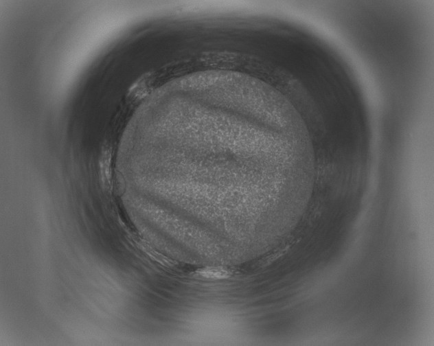 X0000076320765200610201638