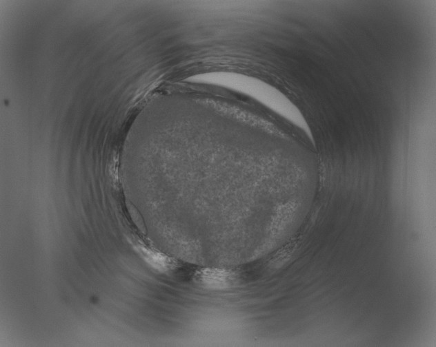 X0000076320766200610201638