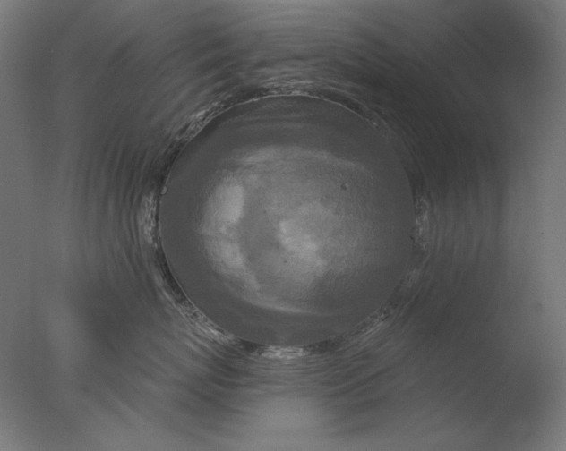 X0000076320767200610201639