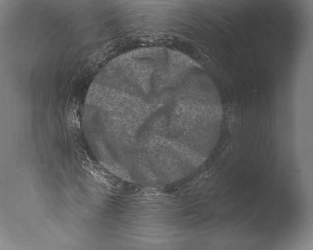 X0000076320770200610201638