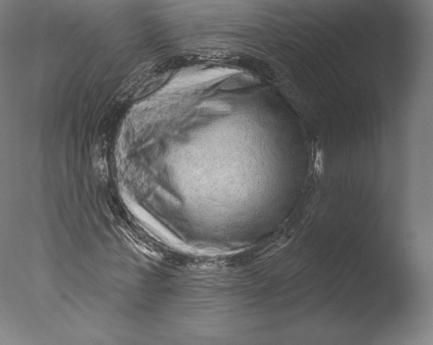 X0000076320771200610201638