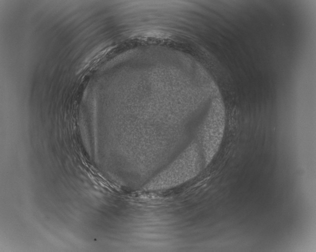 X0000076320774200610201638