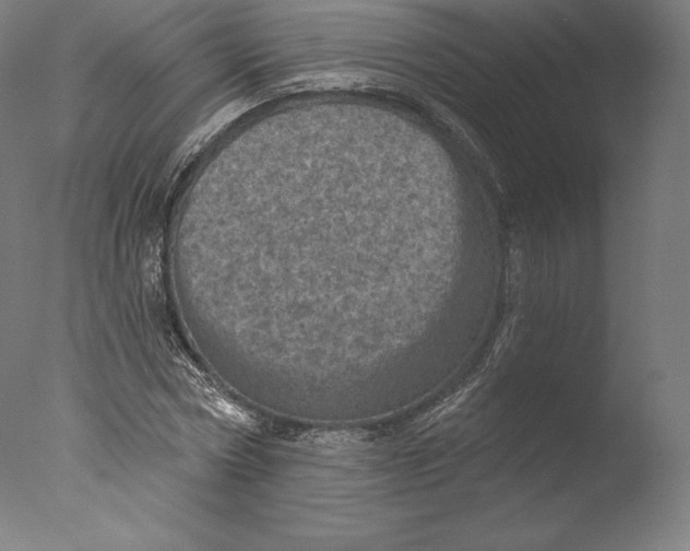 X0000076320778200610201638