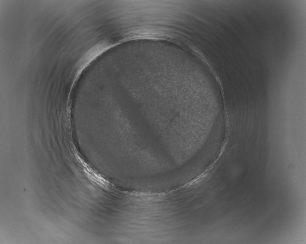 X0000076320779200610201638