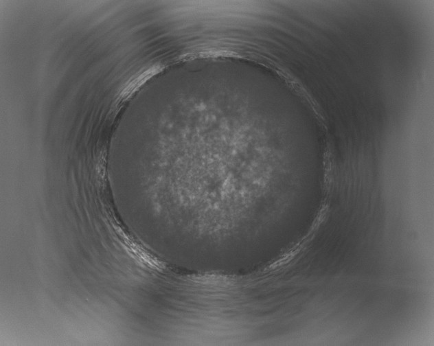 X0000076320785200610201637