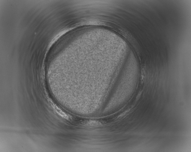 X0000076320787200610201637