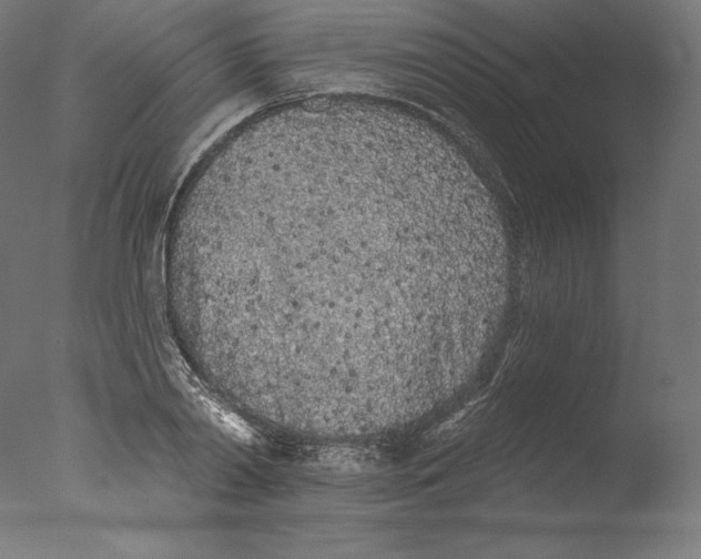 X0000076320790200610201637