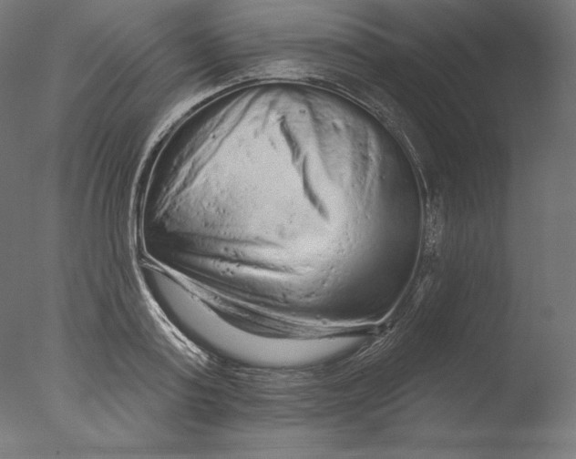 X0000076320795200610201637