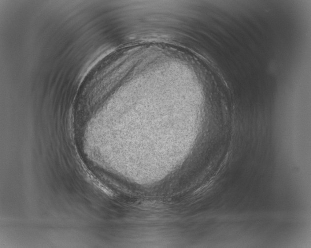 X0000076320798200610201637