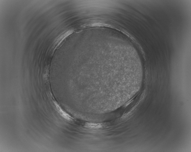 X0000076320801200610201637