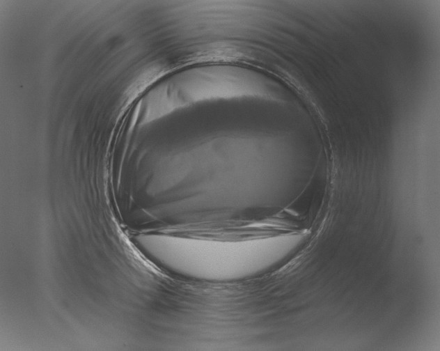 X0000076320802200610201637