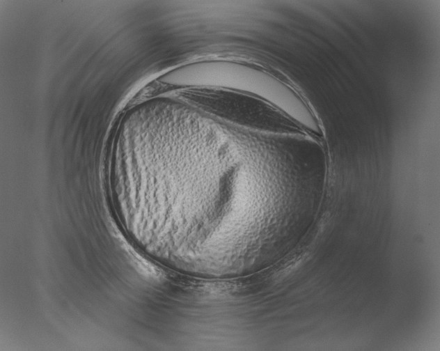 X0000076320803200610201637