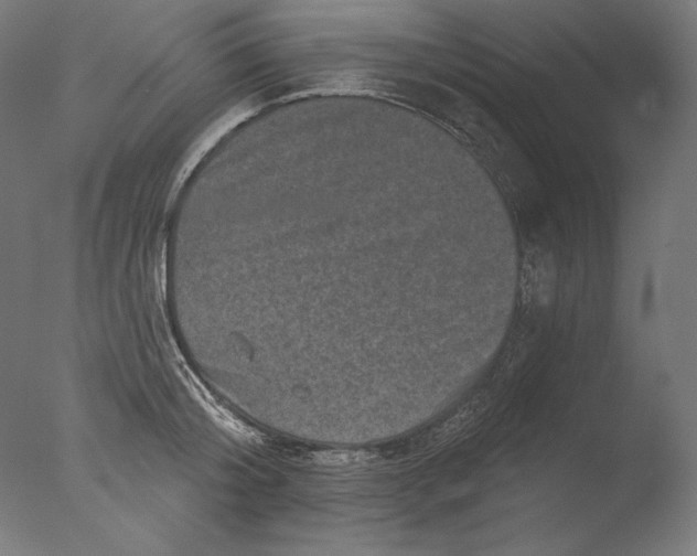 X0000076320804200610201637