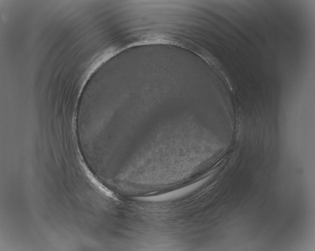 X0000076320805200610201637