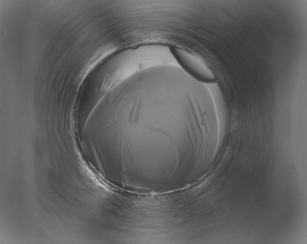 X0000076320806200610201637