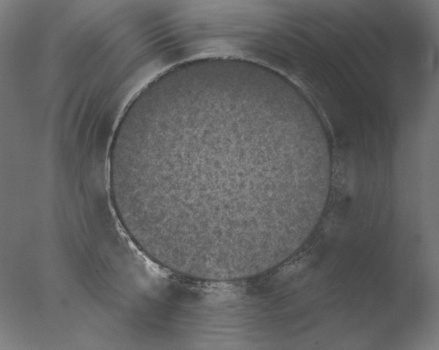 X0000076320807200610201637