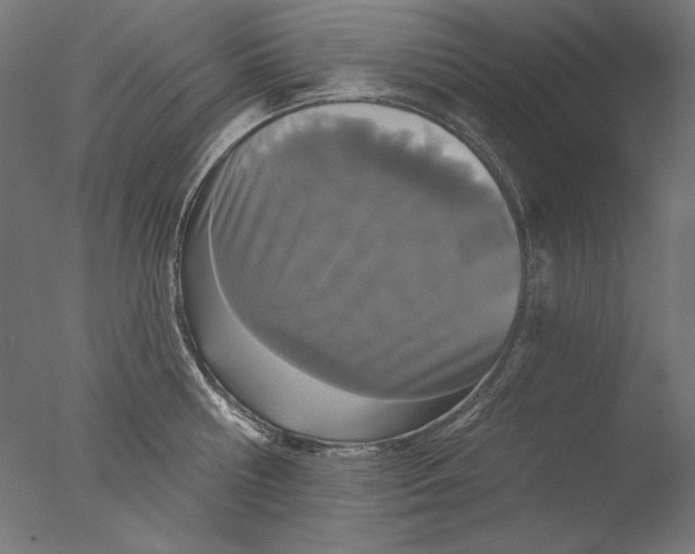 X0000076320810200610201637