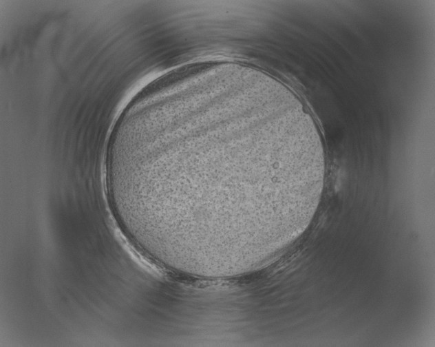 X0000076320811200610201637