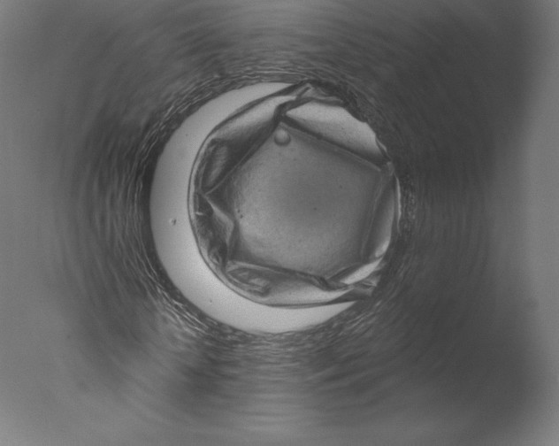 X0000076320818200610201636