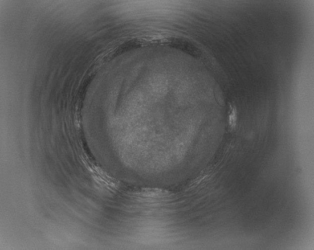 X0000076320819200610201636