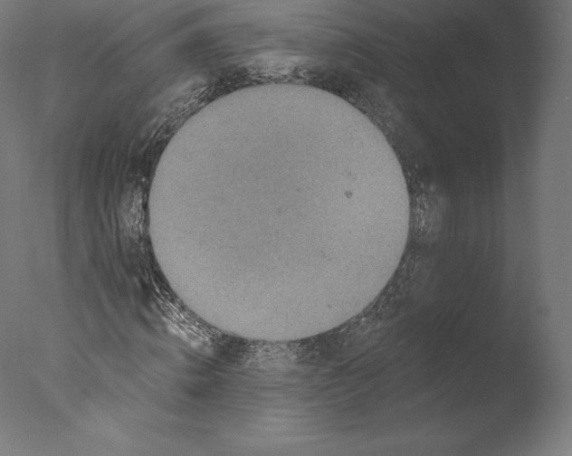 X0000076320820200610201636