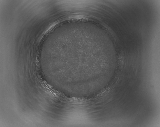 X0000076320823200610201636