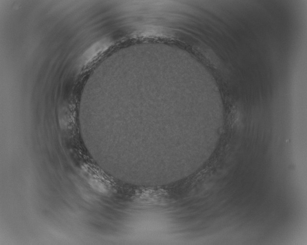 X0000076320824200610201636