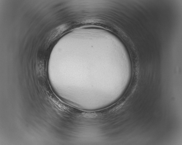 X0000076320825200610201636