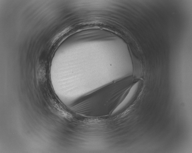 X0000076320826200610201636