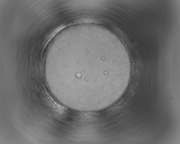 X0000076320828200610201636