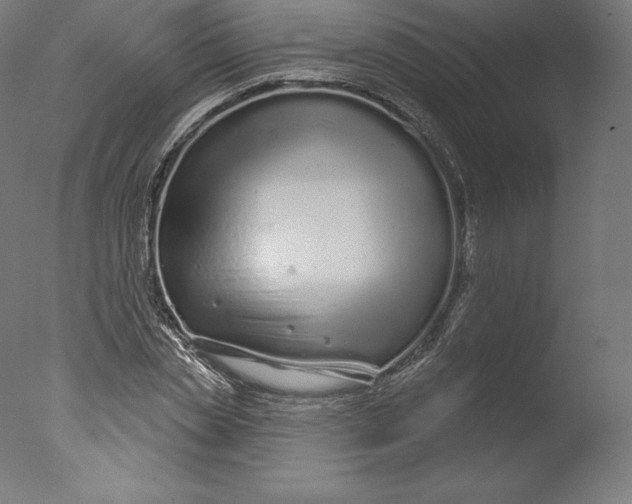 X0000076320829200610201636