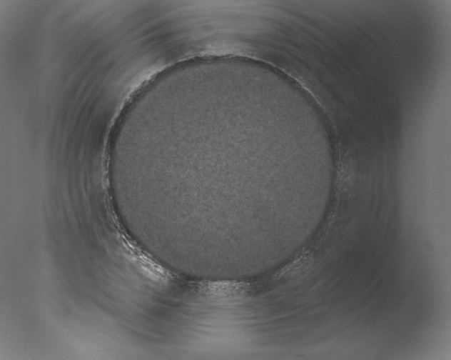 X0000076320832200610201636