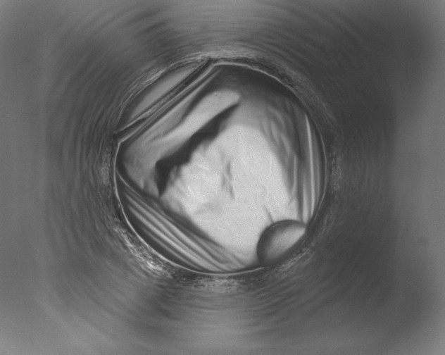 X0000076320833200610201636