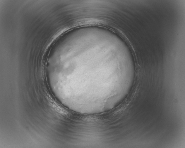 X0000076320835200610201636