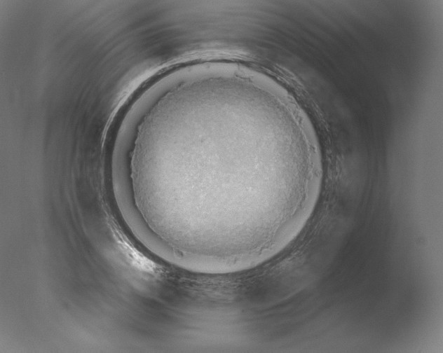 X0000076320836200610201636