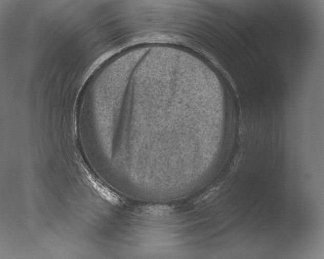 X0000076320837200610201636