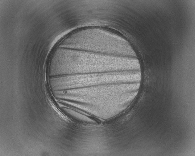 X0000076320838200610201636