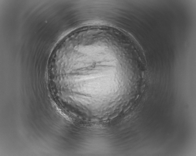 X0000076320839200610201636