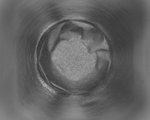 X0000076320840200610201636