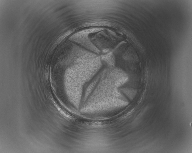 X0000076320841200610201637