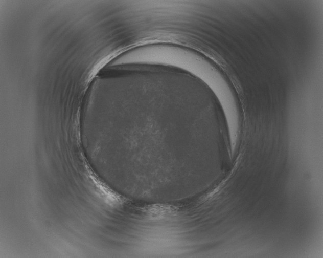 X0000076320842200610201637