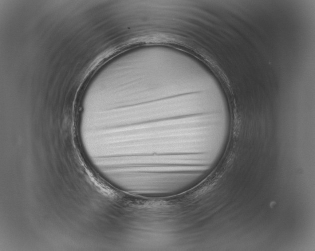 X0000076320845200610201637