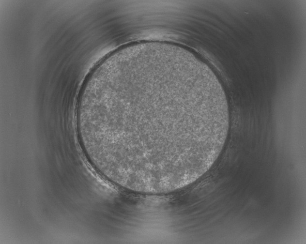 X0000076320848200610201637