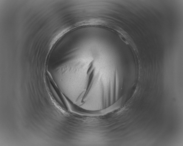 X0000076320850200610201637