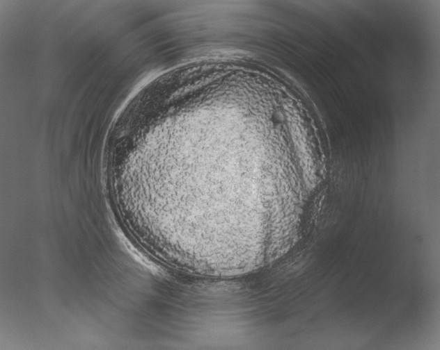 X0000076320851200610201637