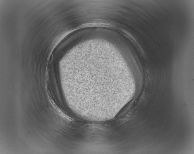 X0000076320852200610201637